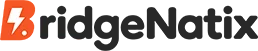 BridgeNatix Logo