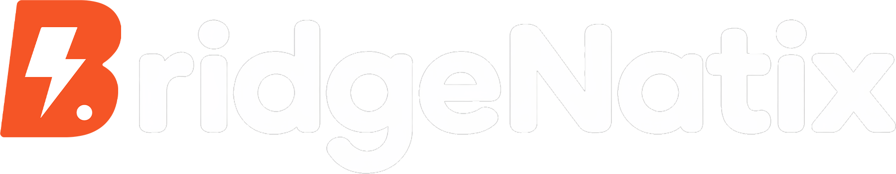 BridgeNatix Logo